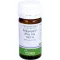 PFLÜGERPLEX Rhus tox.353 H Tabletten, 100 St