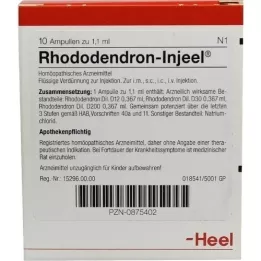 RHODODENDRON INJEEL Ampullen, 10 St