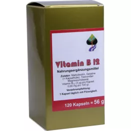 VITAMIN B12 KAPSELN, 120 St
