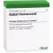 SABAL HOMACCORD Ampullen, 10 St