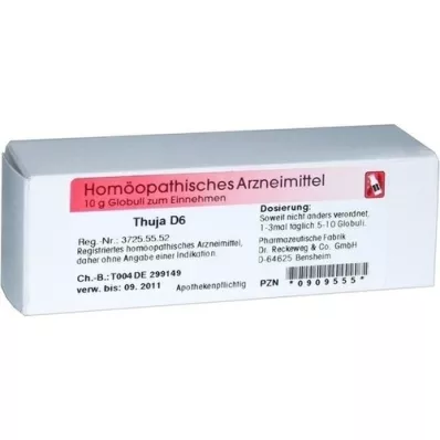 THUJA D 6 Globuli, 10 g