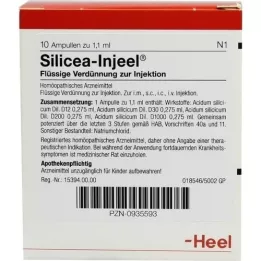 SILICEA INJEEL Ampullen, 10 St