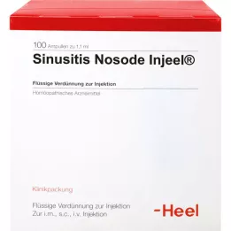 SINUSITIS Nosode Injeel Ampullen, 100 St