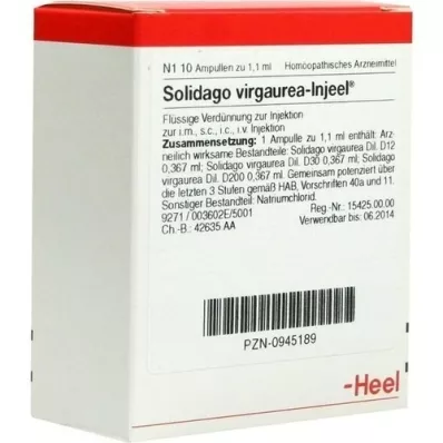 SOLIDAGO VIRGAUREA INJEEL Ampullen, 10 St SOLIDAGO VIRGAUREA INJEEL Ampullen, 10 St