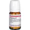 PHYTOLACCA D 1 Tabletten, 80 St