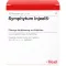 SYMPHYTUM INJEEL Ampullen, 10 St