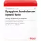 SYZYGIUM JAMBOLANUM INJEEL forte Ampullen, 10 St