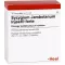 SYZYGIUM JAMBOLANUM INJEEL forte Ampullen, 10 St