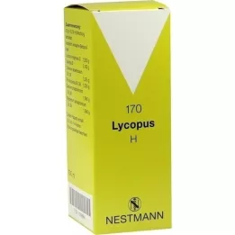 LYCOPUS H Nr.170 Tropfen, 100 ml