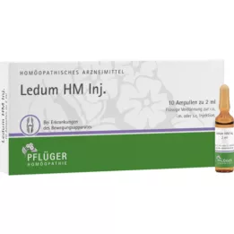 LEDUM HM Injekt Ampullen, 10 St