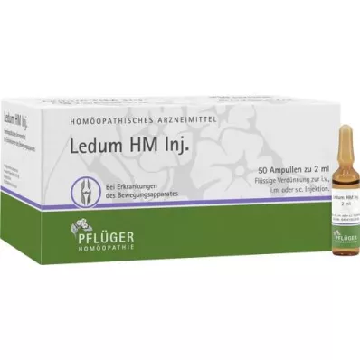 LEDUM HM Injekt Ampullen, 50 St