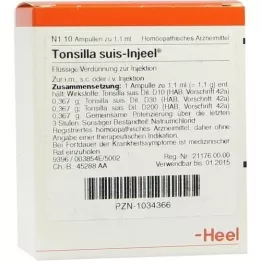 TONSILLA SUIS Injeel Ampullen, 10 St