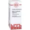STIBIUM SULFURATUM NIGRUM D 8 Dilution, 50 ml