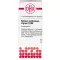 STIBIUM SULFURATUM NIGRUM C 200 Globuli, 10 g