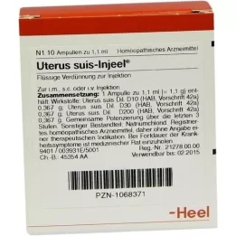 UTERUS SUIS Injeel Ampullen, 10 St