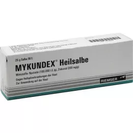 MYKUNDEX Heilsalbe, 25 g