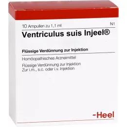 VENTRICULUS SUIS Injeel Ampullen, 10 St