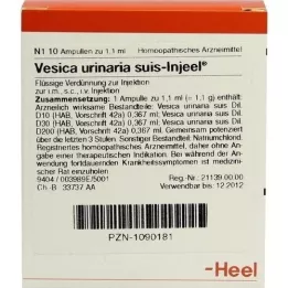 VESICA URINARIA suis-Injeel Ampullen, 10 St