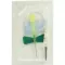 BD VACUTAINER Safety Lok 21 G 18 cm Blutentn.Set, 1 St