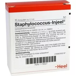 STAPHYLOCOCCUS INJEEL Ampullen, 10 St