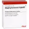 STAPHYLOCOCCUS INJEEL Ampullen, 10 St