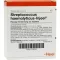 STREPTOCOCCUS HAEMOLYTICUS Injeel Ampullen, 10 St
