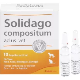 SOLIDAGO COMPOSITUM ad us.vet.Ampullen, 10 St