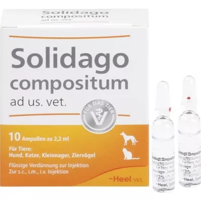 SOLIDAGO COMPOSITUM ad us.vet.Ampullen, 10 St
