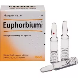 EUPHORBIUM COMPOSITUM SN Ampullen, 10 St
