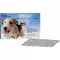 CAPSTAR 11,4 mg Tabletten f.Katzen/kleine Hunde, 6 St