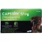 CAPSTAR 57 mg Tabletten f.große Hunde, 6 St