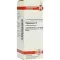 PHYTOLACCA D 3 Dilution, 20 ml