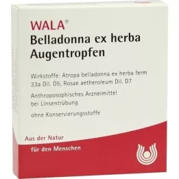 BELLADONNA EX HERBA Augentropfen, 5X0.5 ml
