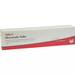 MERCURIALIS SALBE, 100 g