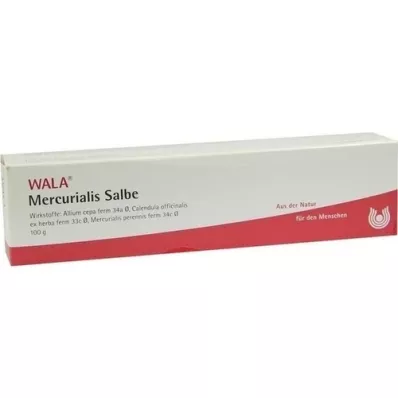 MERCURIALIS SALBE, 100 g