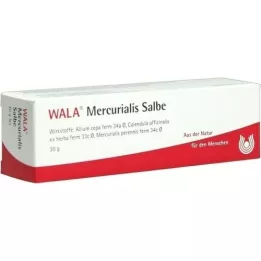 MERCURIALIS SALBE, 30 g