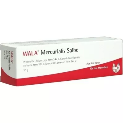 MERCURIALIS SALBE, 30 g