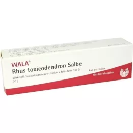 RHUS TOXICODENDRON SALBE, 30 g