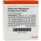 MAGNESIUM MANGANUM phosphoricum Injeel Ampullen, 10 St