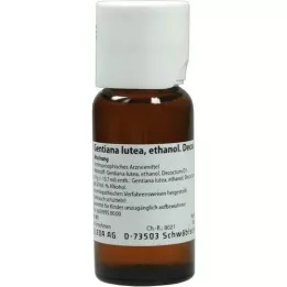 GENTIANA LUTEA 5% Mischung, 50 ml