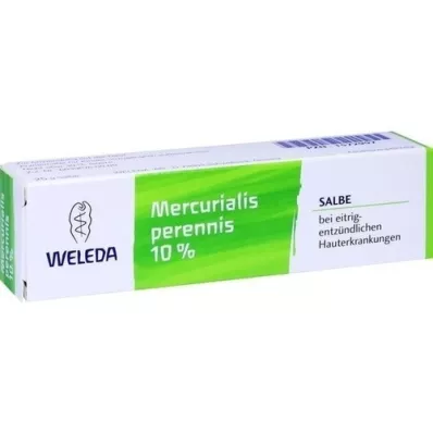 MERCURIALIS PERENNIS 10% Salbe, 25 g