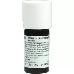 THUJA OCCIDENTALIS Urtinktur, 20 ml