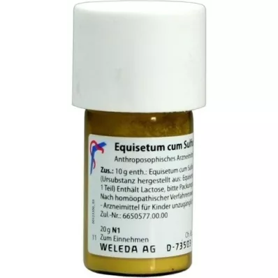 EQUISETUM CUM Sulfure tostum D 6 Trituration, 20 g