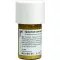 EQUISETUM CUM Sulfure tostum D 6 Trituration, 20 g