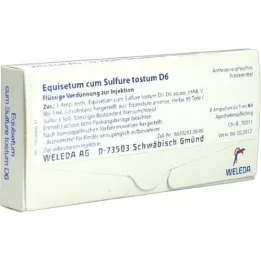 EQUISETUM CUM Sulfure tostum D 6 Ampullen, 8X1 ml