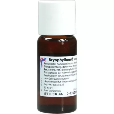 BRYOPHYLLUM Urtinktur, 50 ml