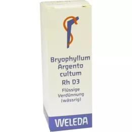 BRYOPHYLLUM ARGENTO cultum Rh D 3 Dilution, 20 ml