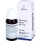 GENTIANA LUTEA RH Presssaft 5% Mischung, 20 ml