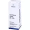 GENTIANA LUTEA RH Presssaft 5% Mischung, 20 ml