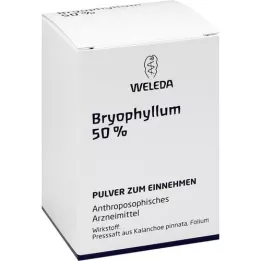 BRYOPHYLLUM 50% Pulver zum Einnehmen, 50 g